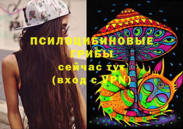 крисы Армянск